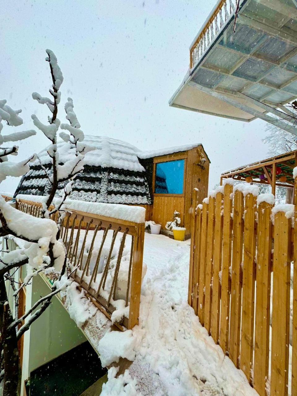 Infinity Sky Glamps Hotel Manali  Exterior photo